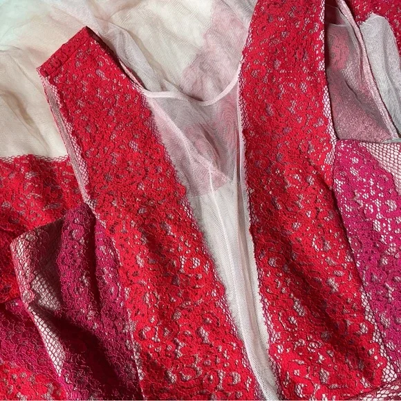 BCBGMAXAZRIA Lace & Tulle Illusion Midi Dress, 6 - Picture 5 of 9